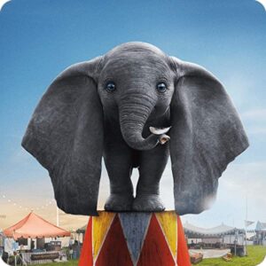 Cialda per torta DUMBO Elefante decorazione alimentare senza glutine topper cake quadrato 1 (Ostia, 20 x 20 cm)