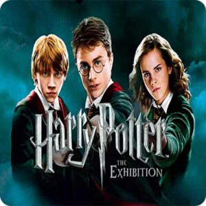 Cialda per torta HARRY POTTER decorazione alimentare senza glutine topper cake img 05 ( quadrato) (Pasta di zucchero, 20 x 20 cm)