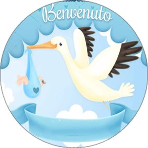 Cialda per torta NASCITA Bambino Bimbo Cicogna Decorazione alimentare Gluten free Topper Cake (Ostia, 16 cm)