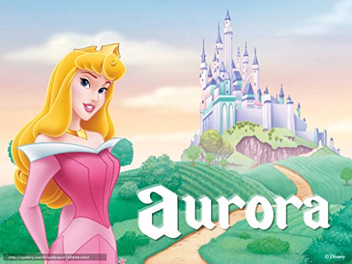 Disney Princess Aurora Disney Princess Palace Pets Macaro 28290546 PNG