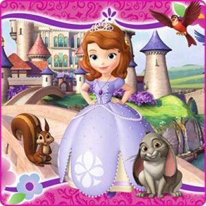 Cialda per torta PRINCIPESSA SOFIA decorazione alimentare senza glutine personalizzazione grafica inclusa topper cake design (Formato quadrato) img 2