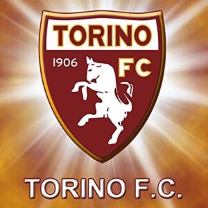 Cialda per torta TORINO CALCIO SERIE A decorazione alimentare senza glutine topper cake img 1 (Pasta di zucchero, 20x30 cm)