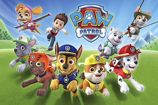 Dekora - Decorazione per Torta, Cialda Rotonda - Licenza Ufficiale di Paw  Patrol - 5x220x270mm : : Alimentari e cura della casa