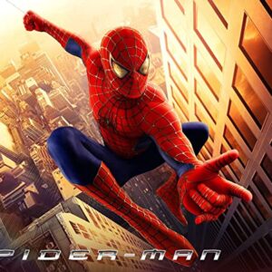 Cialda rettangolare per torta SPIDERMAN Uomo Ragno decorazione alimentare senza glutine personalizzazione grafica inclusa topper cake design img 07 (Ostia, 25 x 20 cm)